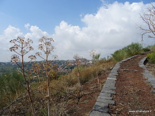 Monte Serra